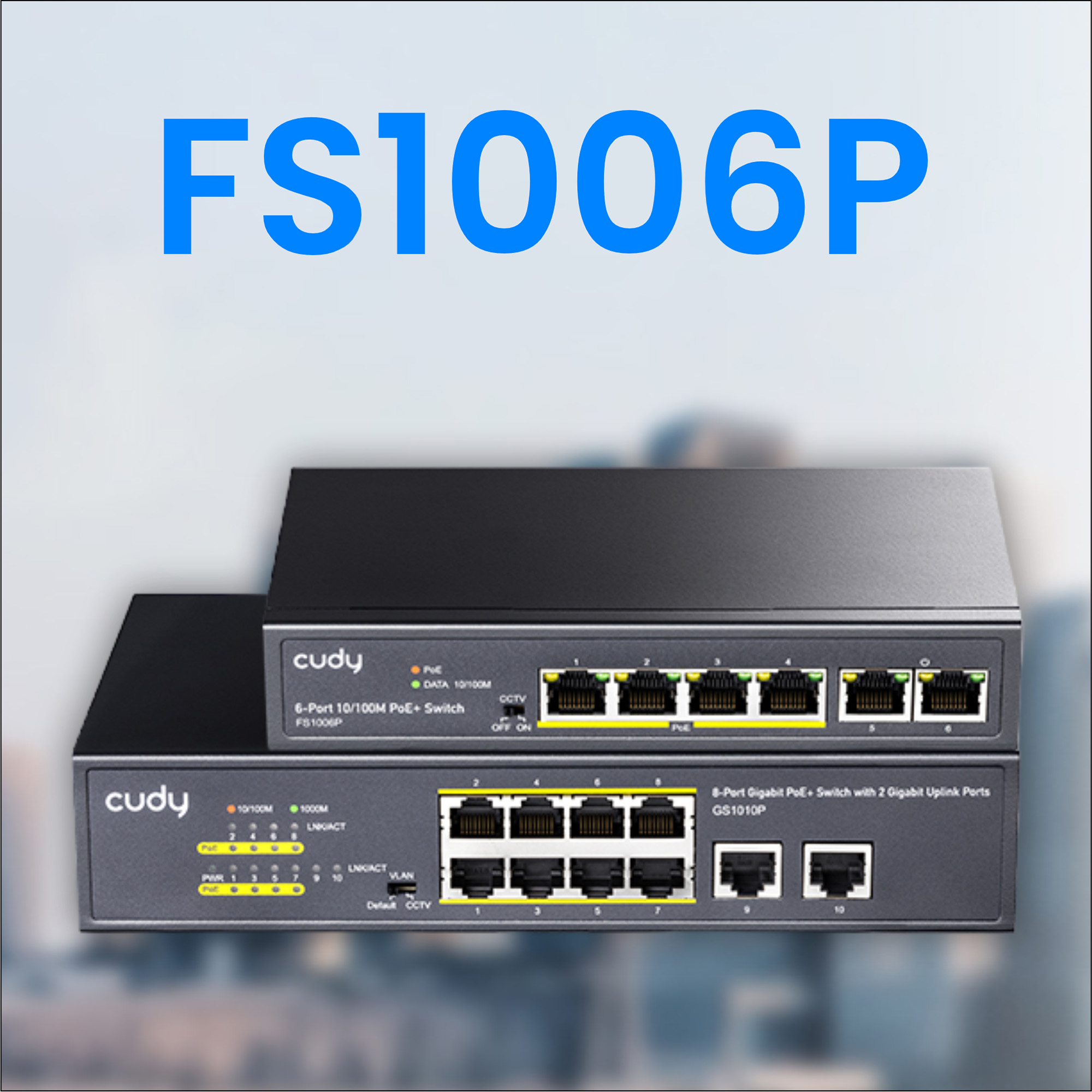 FS1006P